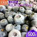 151位! 口コミ数「0件」評価「0」フレッシュ 五霞町産 冷凍ブルーベリー500g - ブルーベリー 新鮮 フレッシュ 大粒 無農薬 冷凍 フルーツ 果物 そのまま おやつ 朝食 茨城県 五霞町