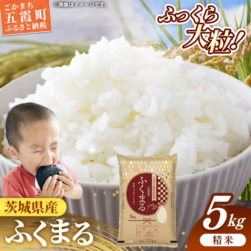 令和7年産 茨城県産 ふくまる 5kg / お米 精米 新米 旨味 安心 美味しい 茨城県 五霞町