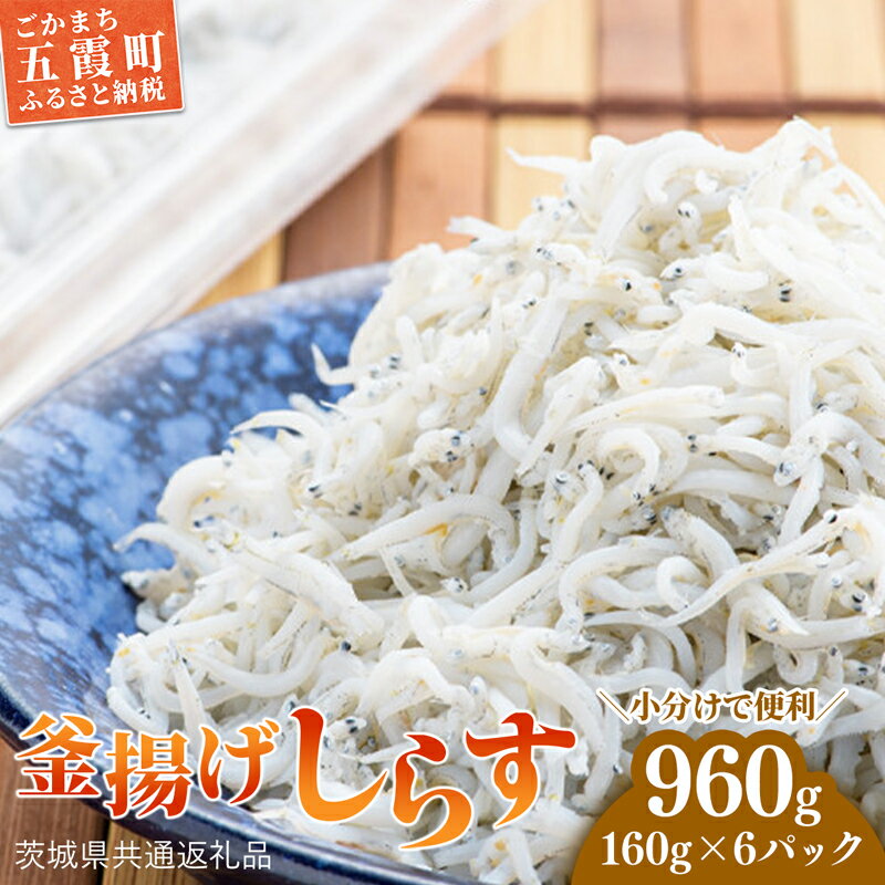 釜揚げしらす 6パック ( 160g × 6パック ) 約 1キロ(茨城県共通返礼品・大洗町産)