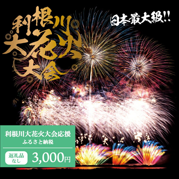 楽天茨城県境町【ふるさと納税】【返礼品なし】利根川大花火大会応援ふるさと納税 （3000円分） 【茨城県境町】