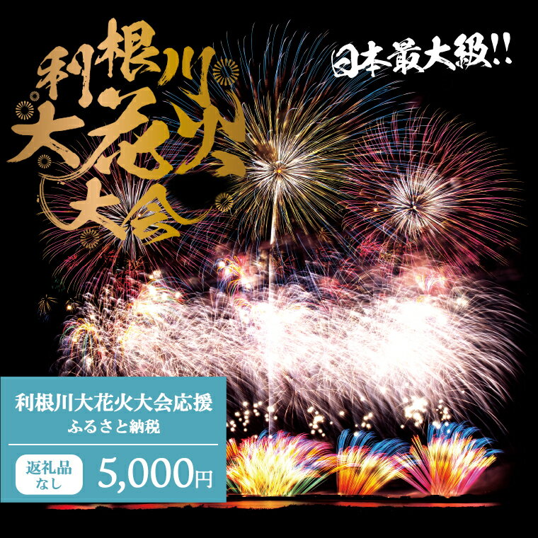 【返礼品なし】利根川大花火大会応援ふるさと納税 (5000円分) 【茨城県境町】