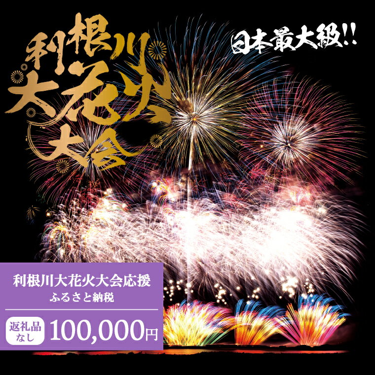 【返礼品なし】利根川大花火大会応援ふるさと納税 (100000円分) 【茨城県境町】