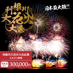 【ふるさと納税】【返礼品なし】利根川大花火大会応援ふるさと納税 (300000円分) 【茨城県境町】