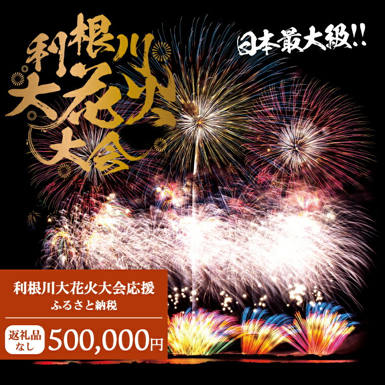 【返礼品なし】利根川大花火大会応援ふるさと納税 (500000円分) 【茨城県境町】