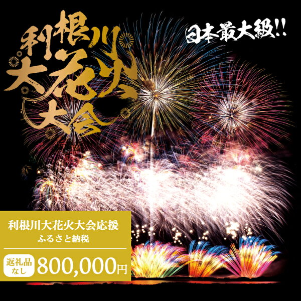 【ふるさと納税】【返礼品なし】利根川大花火大会応援ふるさと納税 (800000円分) 【茨城県境町】