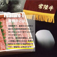 【ふるさと納税】常陸牛焼肉用カルビ450g(A5・A4等級)
