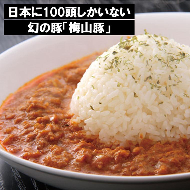 2位! 口コミ数「0件」評価「0」塚原牧場 幻の豚 高級「梅山豚」 キーマカレー セット｜肉 豚肉 国産 冷凍