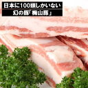 2位! 口コミ数「2件」評価「3.5」国産 高級「梅山豚」豚バラ ブロック 650g ｜肉 豚肉 ブランド豚 バラ 茨城