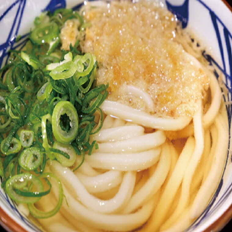 【ふるさと納税】茨城県 境町 境の手のばし麺 うどん 10人前×5箱｜うどん 茨城県産 国産