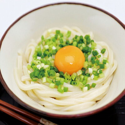 楽天ふるさと納税　【ふるさと納税】茨城県 境町 境の手のばし麺 うどん 10人前×10箱｜うどん 茨城県産 国産