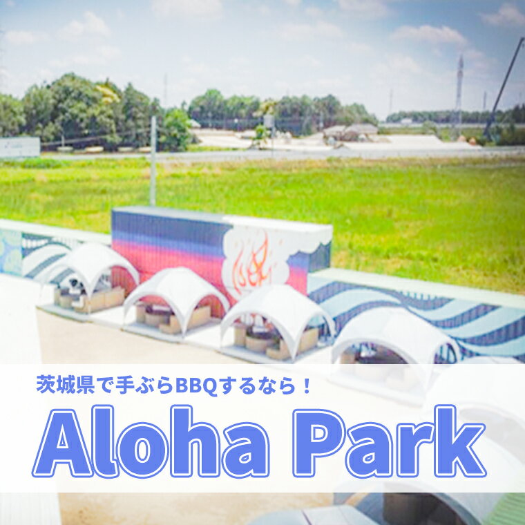 楽天ふるさと納税　【ふるさと納税】茨城県境町 Aloha Park BBQ 施設 利用券