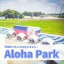 【ふるさと納税】茨城県境町 Aloha Park BBQ 施設 利用券