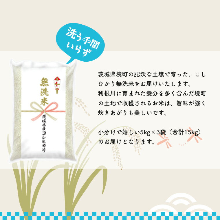 アイテムID:667875の画像2枚目