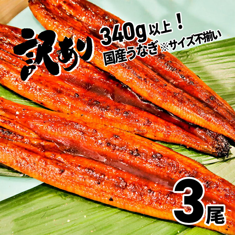 【ふるさと納税】【数量限定】 訳あり さかい河岸水産 国産 うなぎ 3尾 340g以上！ ※ 不揃い | 鰻 ウナギ 蒲焼き 蒲焼 コロナ 緊急支援 丑の日 土用 《ご希望の発送時期をお選びください》