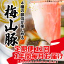 【ふるさと納税】 【12回毎月定期便】 塚原牧場 幻の豚 「梅山豚」 しゃぶしゃぶセット ブランド豚 メイシャントン 境町 <12回コース>