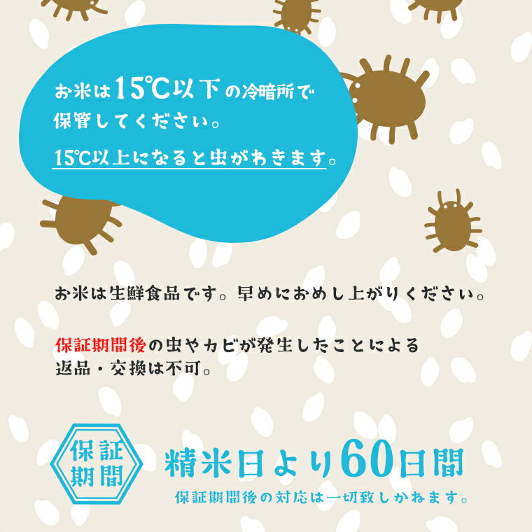 アイテムID:667875の画像4枚目