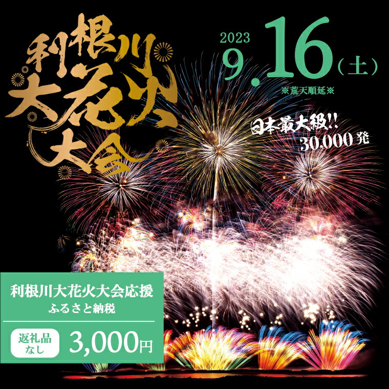 【ふるさと納税】【返礼品なし】利根川大花火大会応援ふるさと納税 (3000円分) 【茨城県境町】