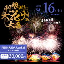 【ふるさと納税】【返礼品なし】利根川大花火大会応援ふるさと納税 (30000円分) 【茨城県境町】