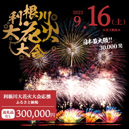 【ふるさと納税】【返礼品なし】利根川大花火大会応援ふるさと納税 (300000円分) 【茨城県境町】