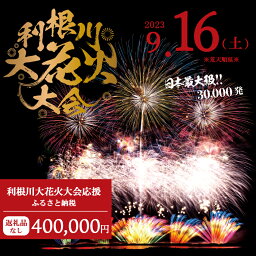 【ふるさと納税】【返礼品なし】利根川大花火大会応援ふるさと納税 (400000円分) 【茨城県境町】