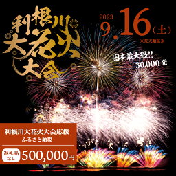 【ふるさと納税】【返礼品なし】利根川大花火大会応援ふるさと納税 (500000円分) 【茨城県境町】