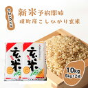 【ふるさと納税】【令和5年産】境町のこだわり「こしひかり」 玄米10kg（5kg×2袋）| 米 2023年産 茨城県産