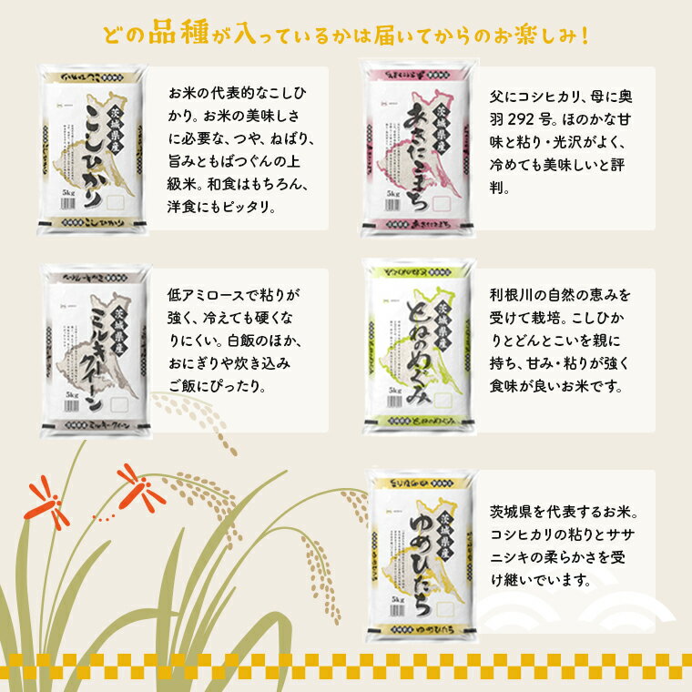 【ふるさと納税】 令和5年産 お米 5kg 2種 食べくらべ 10kg 茨城県産 3か月定期便 計 30kg | 令和5年 コメ こめ 初回 送料無料 常温 配送 新生活