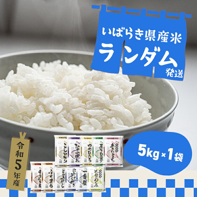 令和5年産 ※ランダム※お米 5kg 茨城県産 白米| 令和5年 コメ こめ 初回 送料無料 常温 配送 新生活 米 ランダム お楽しみ