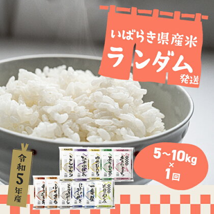 令和5年産 ※ランダム※お米 5kg 10kg 茨城県産 白米| 令和5年 コメ こめ 送料無料 常温 配送 新生活 米 ランダム お楽しみ