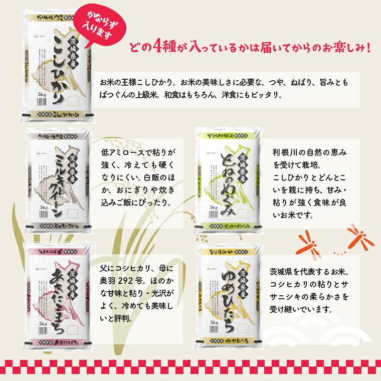 【ふるさと納税】 令和6年産 先行予約開始！ 発送回数が選べる 令和6年産 新米 お米 4種 食べくらべ 20kg 茨城県産 3か月定期便 6か月定期便 | 2024年 令和6年 コメ こめ 初回 送料無料 常温 配送 60kg 120kg 新生活