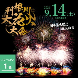 【ふるさと納税】【数量限定】第37回利根川大花火大会　観覧チケット「フリーゾーン（1名）」花火大会 茨城県 境町 夏 イベント 花火 特別 利根川花火大会 利根川