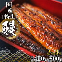 【ふるさと納税】国産 特上うなぎ 蒲焼き 2〜4尾 (400g〜800g以上) 簡易袋 タレ 山椒付き | 茨城県 境町 うなぎ 国産 蒲焼 タレ 簡易袋 国産...