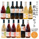 【ふるさと納税】 ワイン 【6ヶ月定期便/毎月連続お届け】 おまかせ 飲み比べセット 750ml×2本 さかいまちワイナリーギフト 女子会 記念日 ご褒美 赤ワイン ロゼワイン 白ワイン フルーツワイン スパークリングワイン ハーフワイン 定期便 毎月 6ヶ月 ギフト 母の日 父の日