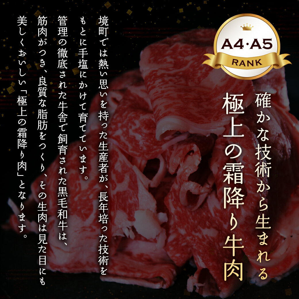 【ふるさと納税】国産 常陸牛100％ハンバーグ 10個 冷凍 ｜ 肉 牛肉 常陸牛 ハンバーグ