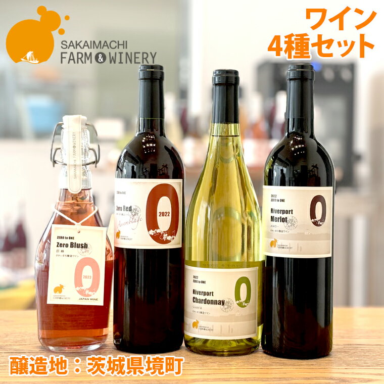 【ふるさと納税】 数量限定 ワイン4種セット【訳あり・限定品】｜ ワイン 洋酒 赤ワイン　白ワイン 境町ワインのサムネイル