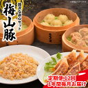 【ふるさと納税】 【12回毎月定期便】 塚原牧場 幻の豚 「梅山豚」 点心セット ブランド豚 メイシャントン 境町 12回コース 毎月お届け