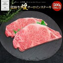 【ふるさと納税】【A5ランク】 常陸牛 “煌”サーロインステーキ 500g(250g×2) 【茨城県共通返礼品】|常陸牛 茨城 牛肉 霜降り 煌 和牛 サーロインステーキ サーロイン ステーキ A5 A5ランク 250g 2枚