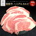 【ふるさと納税】【常陸牛】ハミデルカルビ 300g (2〜3枚) 〈茨城県共通返礼品〉|常陸牛 茨城 牛肉 霜降り 和牛 焼肉 A5 A5ランク 400g 国産...