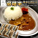 【ふるさと納税】常陸牛すじカレー 1.2kg(200g×6袋) <茨城県共通返礼品>