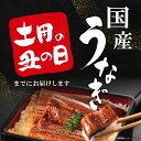茨城県境町の画像2