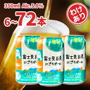 【ふるさと納税】 酒 ビール お酒 クラフトビール わけあり お試し 境町オリジナル 富士見百景にごり ビール 350ml × 6本 24本 48本 72本 定...