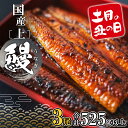 【ふるさと納税】うなぎ 国産 3尾 (525g以上) 蒲焼き 父の日 訳あり 不揃い 小分け タレ 山椒付 き ギフト 高級 グルメ土用の丑の日 冷凍 プレゼント 夫 義父 うなぎ ウナギ 鰻
