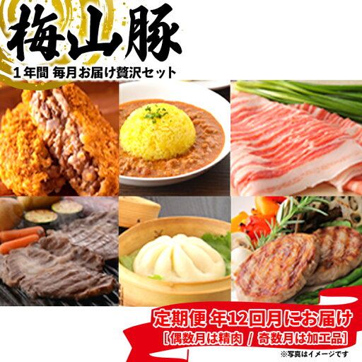 【ふるさと納税】 【12回毎月定期便】塚原牧場の幻の豚「梅山豚」の贅沢定期便 ブランド豚 メイシャントン 境町 12回コース 【ふるさと納税】 【12回毎月定期便】塚原牧場の幻の豚「梅山豚」の贅沢定期便 ブランド豚 メイシャントン 境町 12回コース