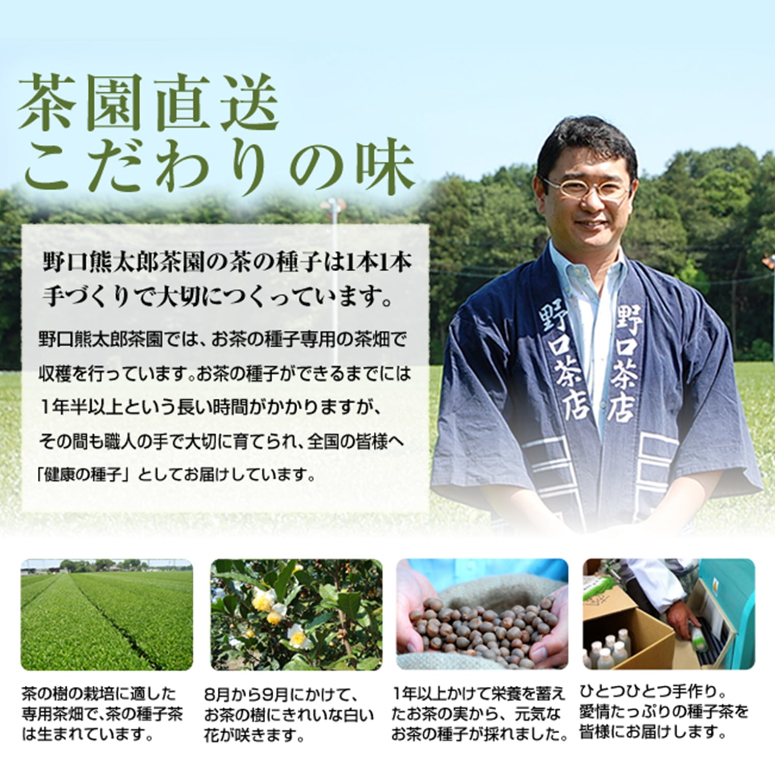 茨城県境町の画像3