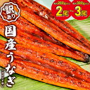 【ふるさと納税】 10月1日寄附額改定! 即納 うなぎ 国産 鰻 ウナギ 不揃い unagi 訳あり 2尾 3尾 200g以上 300g以上 規格外 蒲焼き 小分け 先行受付 最速便 7日以内に発送 訳あり 国産 うなぎ 不揃い 無選別 蒲焼 丑の日 発送時期が選べる 土用の丑の日 鰻楽 発送時期選択可
