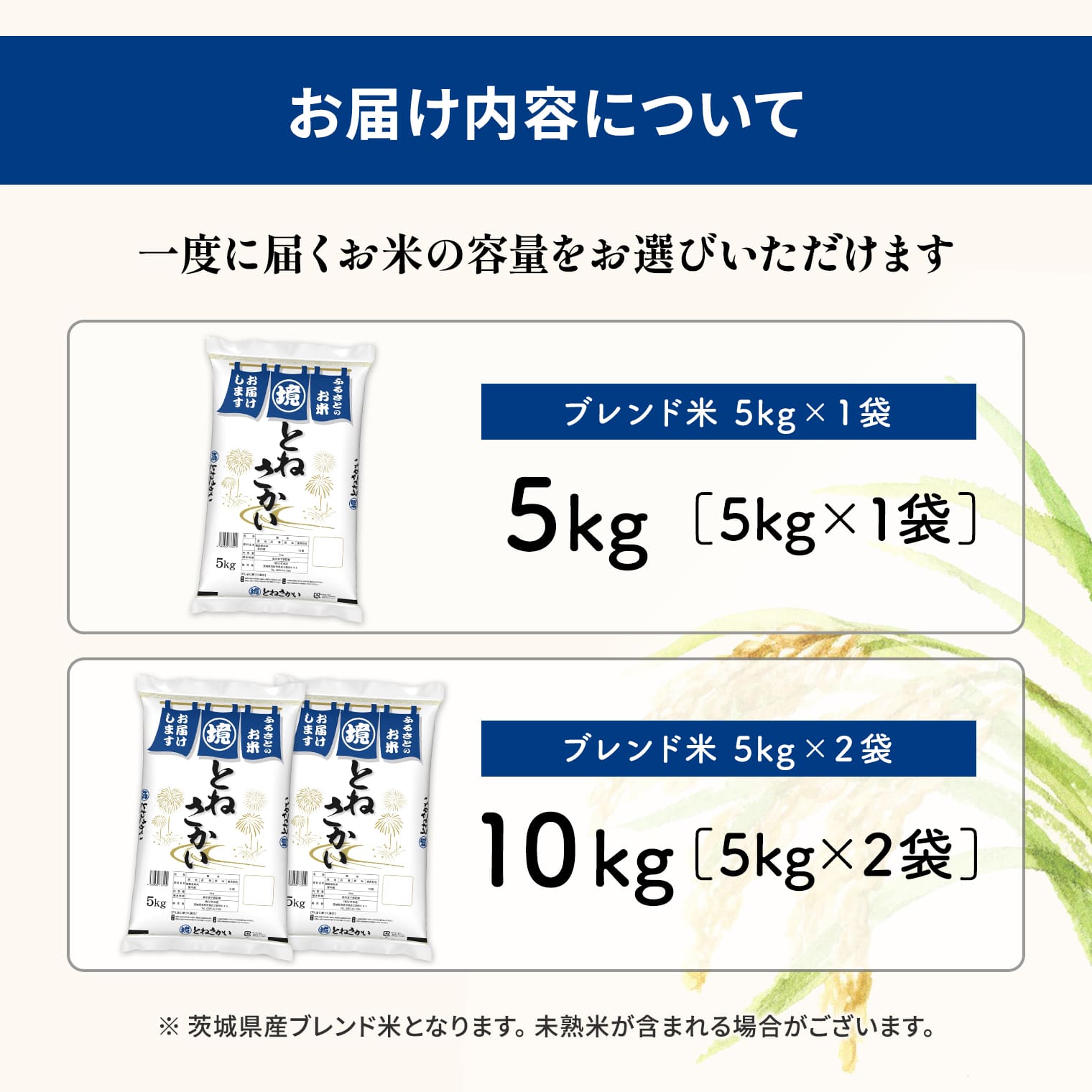 【ふるさと納税】 ＼期間限定／ 寄附額改定中！ お米マイスター厳選ブレンド米 とねさかい 5kg (5kg×1袋) 10kg(5kg×2袋) 茨城県産