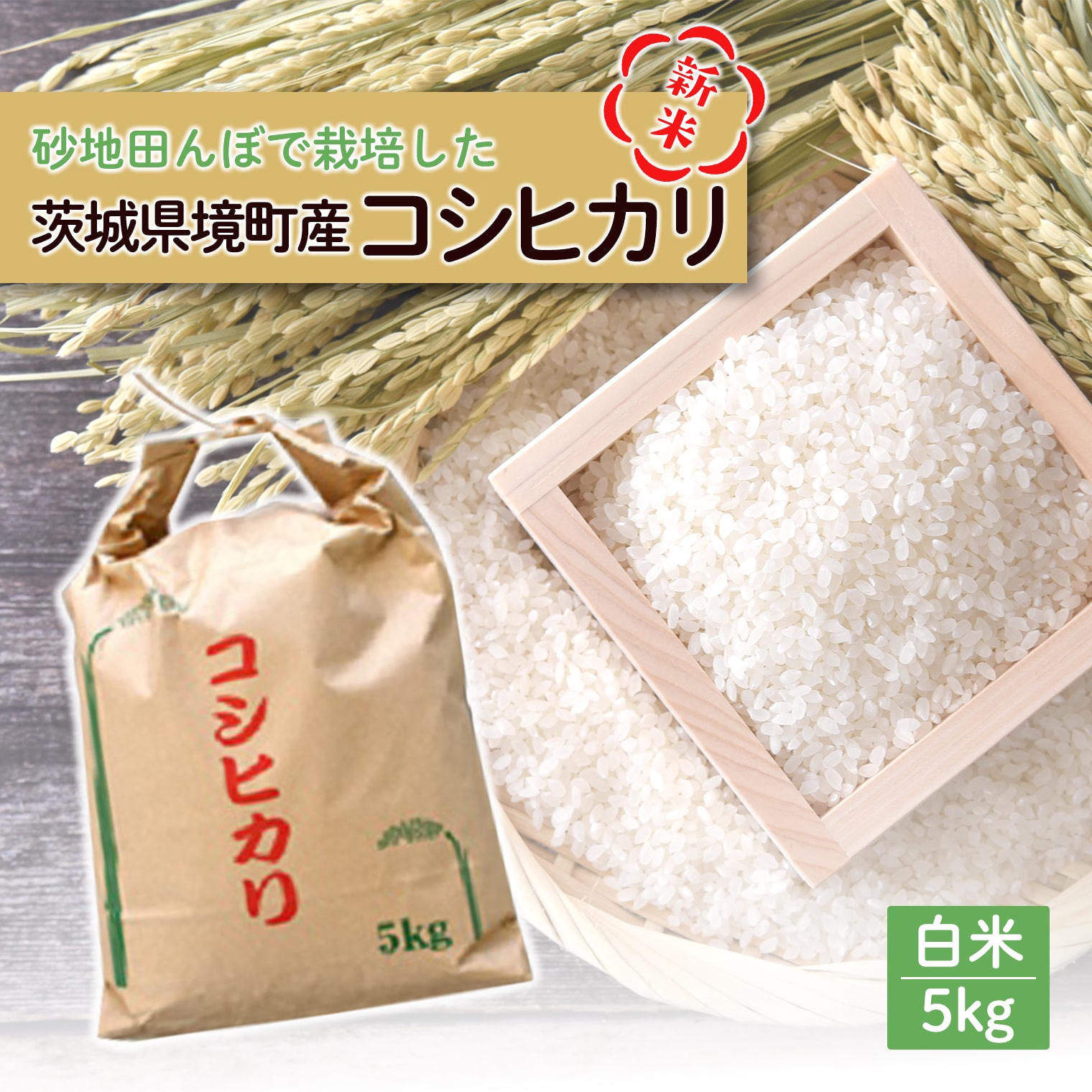 新米 [50個限定]令和7年産 茨城県 境町産 コシヒカリ 白米 5kg 2025年産