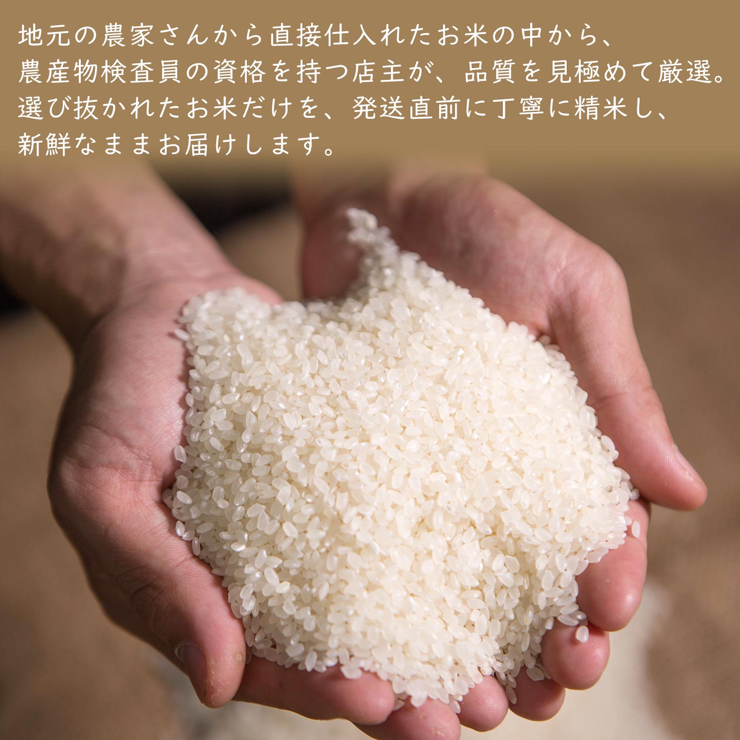 【ふるさと納税】【数量限定】 令和7年産 境町 白米 「コシヒカリ」 20kg(10kg×2袋) | 米 2025年産 茨城県産
