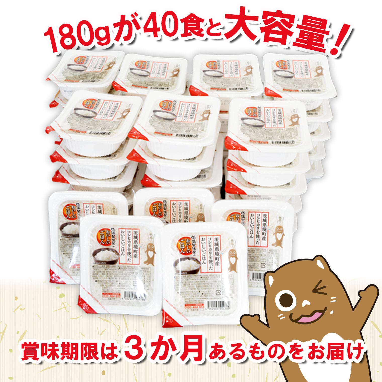 【ふるさと納税】 ＼＼復活／／ 米 パックごはん コシヒカリ パックライス 180g ×40個 【最短翌日～5営業日以内発送】 国産 こしひかり ライスパック パックご飯 保存食 備蓄 新生活 境町産コシヒカリ使用 《沖縄・離島発送不可》 年内発送