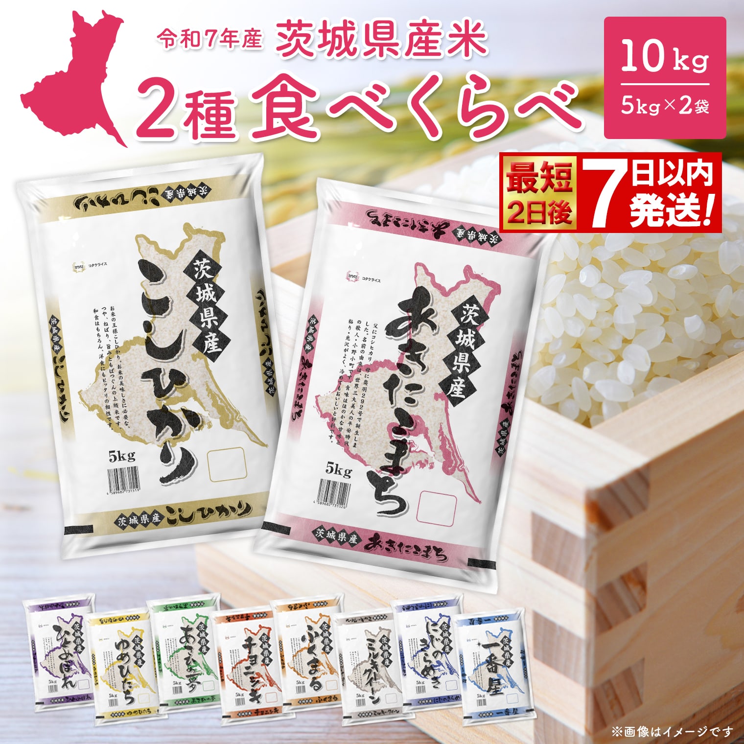 【ふるさと納税】＜最短2日後発送＞or＜12月発送 1月発送 数量限定 生活応援キャンペーン＞ 米 こしひかり 5kg 令和7年産 令和7年産 お米 2種 食べくらべ 10kg 茨城県産 2025年 令和7年 コメ こめ 年内発送 送料無料 常温 配送 新生活 即納のサムネイル